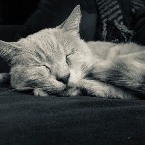 Meet your Posher, Ian